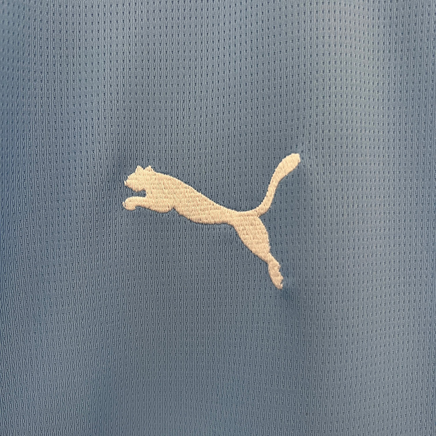 Manchester City Thuis Shirt 2024/25