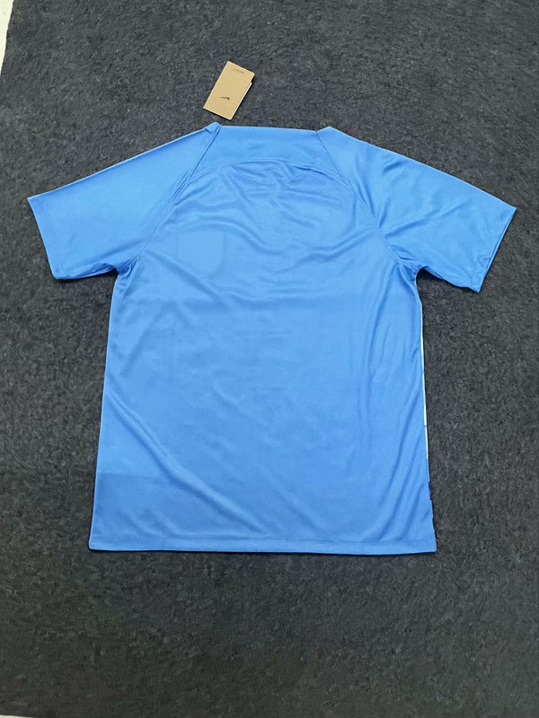 Netherlands Home 2024/2025 - Special Nederland Lion Edition