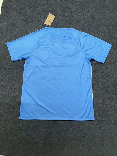 Netherlands Home 2024/2025 - Special Nederland Lion Edition