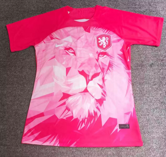Netherlands Home 2024/2025 - Special Nederland Lion Colored Edition